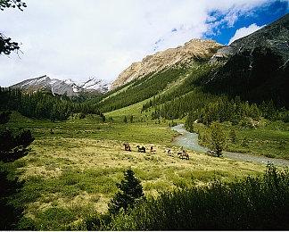 联手马丁尝到甜头 宫崎英高还想跟著名作家合作